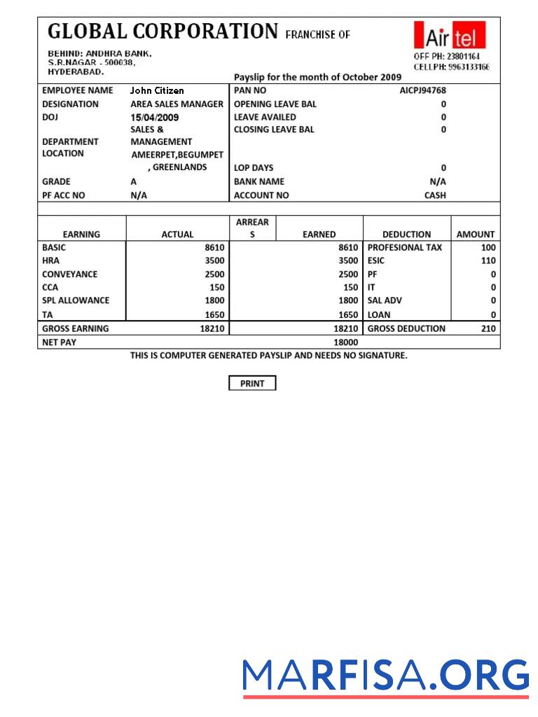 Downloadable India Airtel multinational telecommunications services company payslip sample